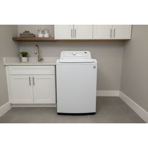22478-White-LG-TOP LOAD-Washer